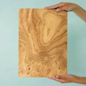 Carpathian Elm Burl Wood Print