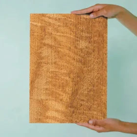 Fiddleback Sapele Wood Print