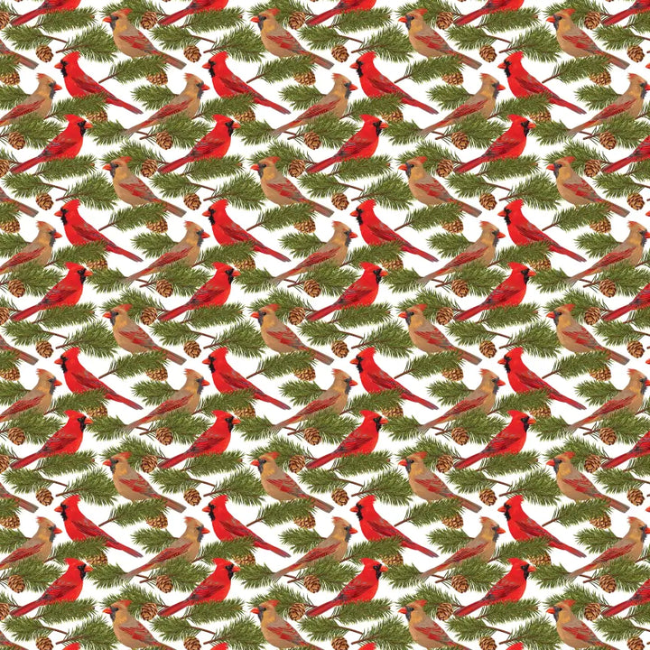Large_Thumbnail_-_Birds_and_Branches.webp