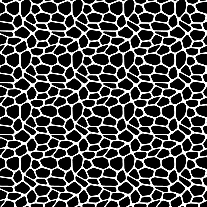 Large_Thumbnail_-_Black_Giraffe.webp