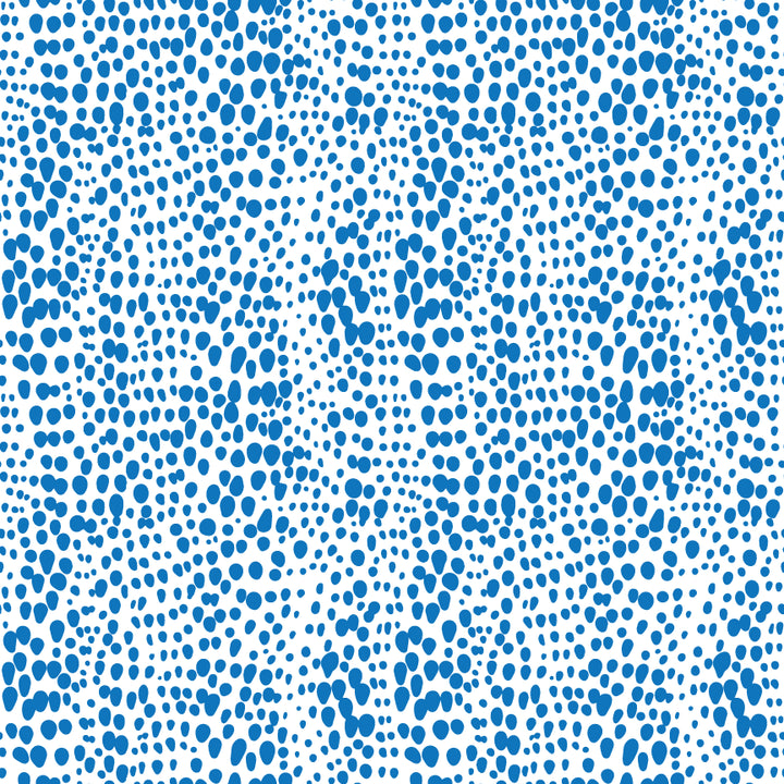 Large_Thumbnail_-_Blue_Cheetah.webp