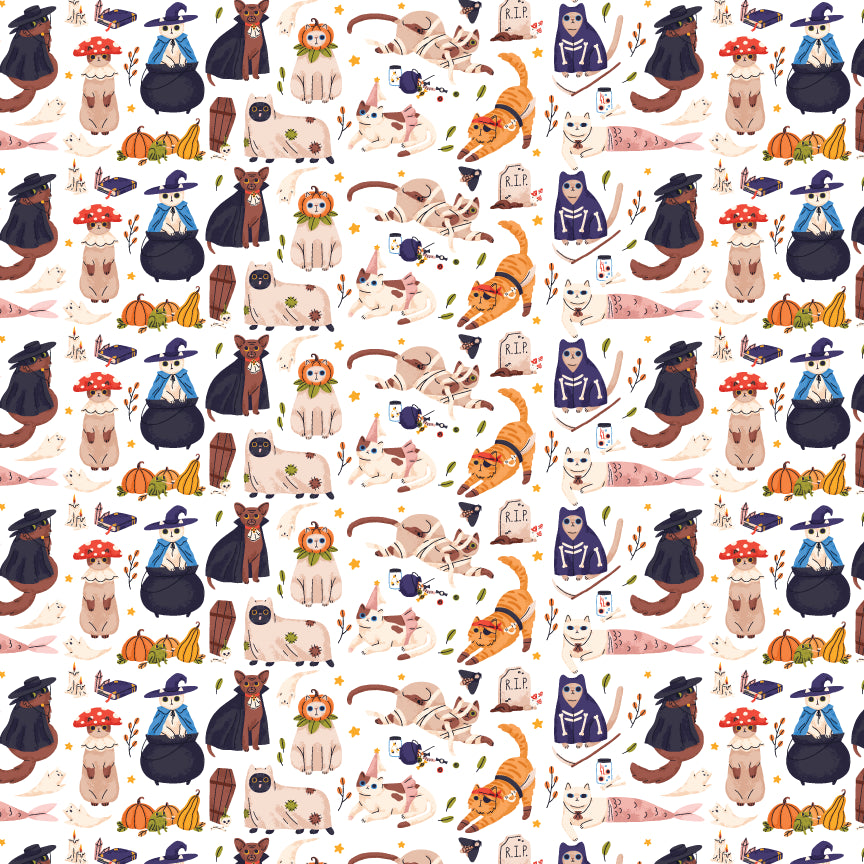 Large_Thumbnail_-_Cats_In_Costume.webp