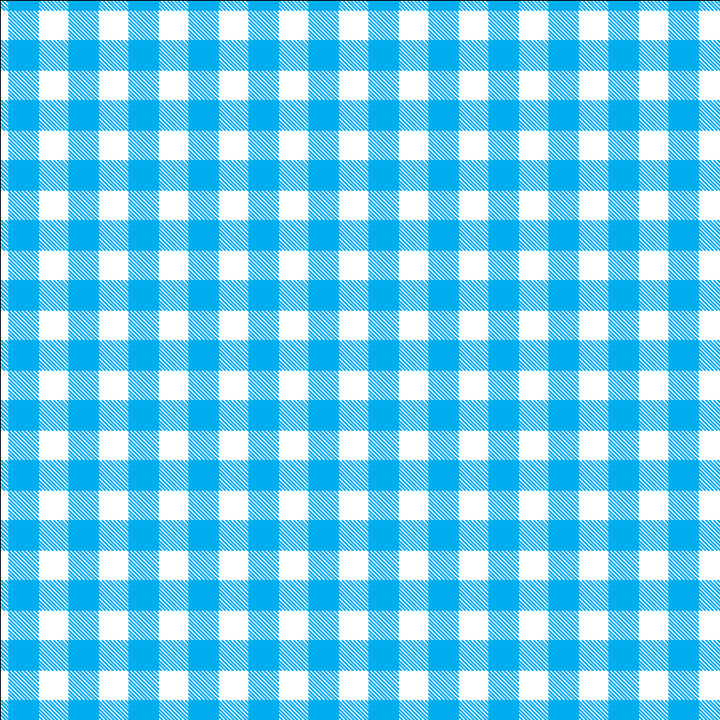 Large_Thumbnail_-_Cyan_Plaid.webp