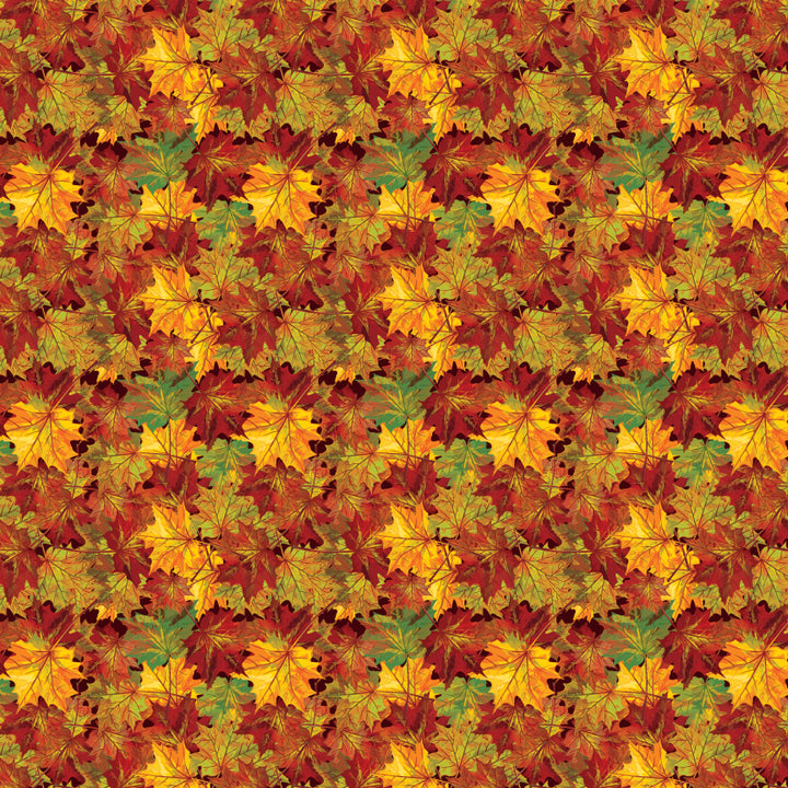 Large_Thumbnail_-_Fall_Leaves_2.webp