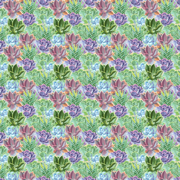 Large_Thumbnail_-_Succulent_Fever.webp