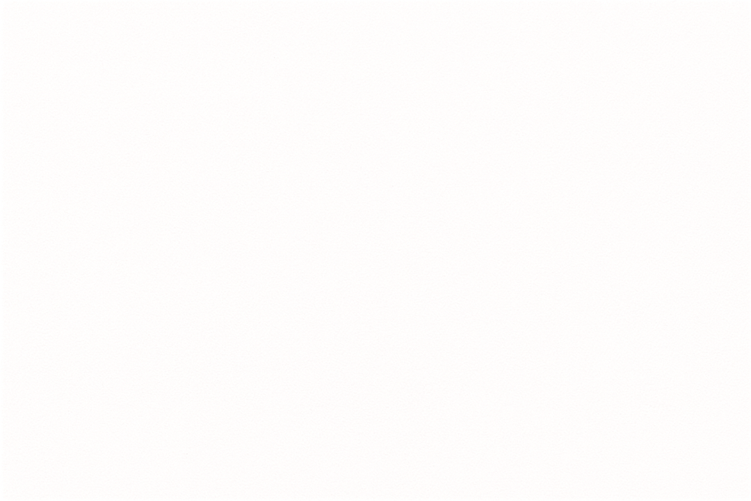 solid white image